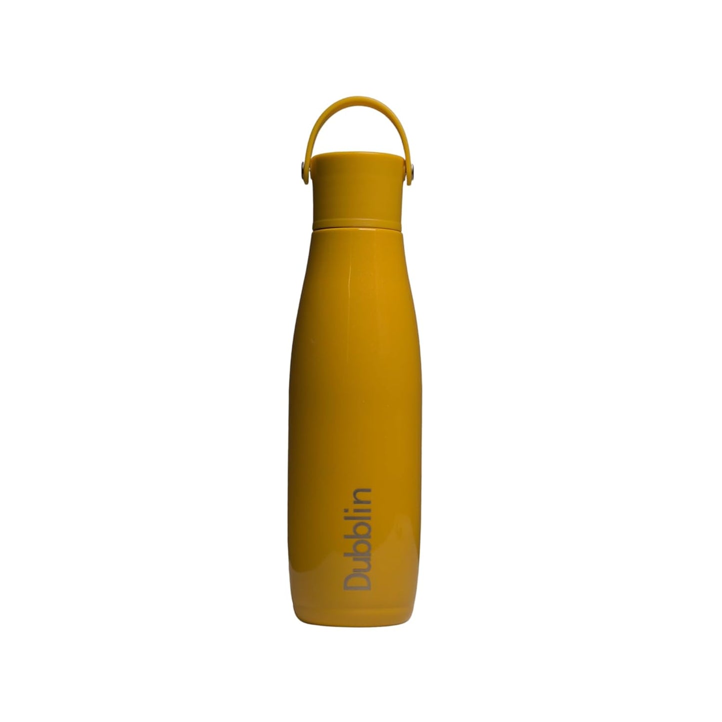 Dubblin Kiwi Stainless Steel Water Bottle | 750 ml |