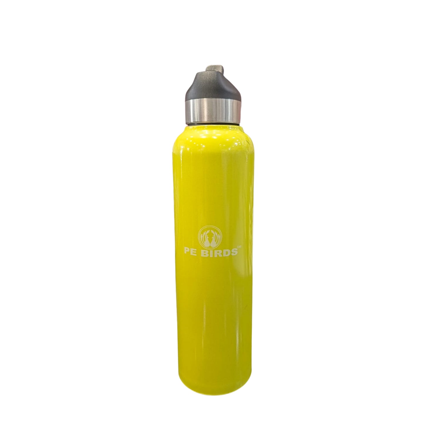 PE Birds Stainless Steel Peppy Water Bottle | 600 ml |