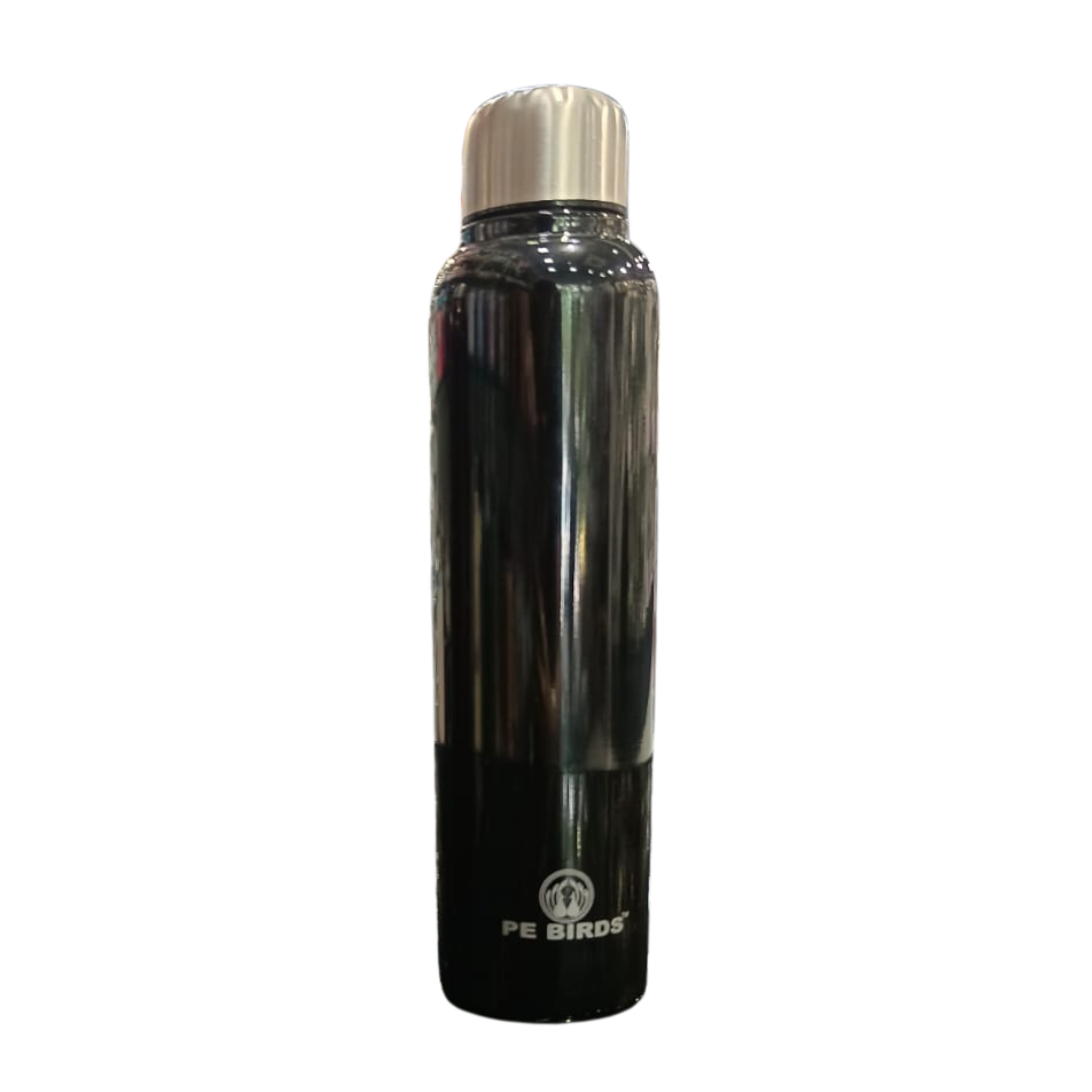 PE Birds Pony SS Water Bottle | 600ml |