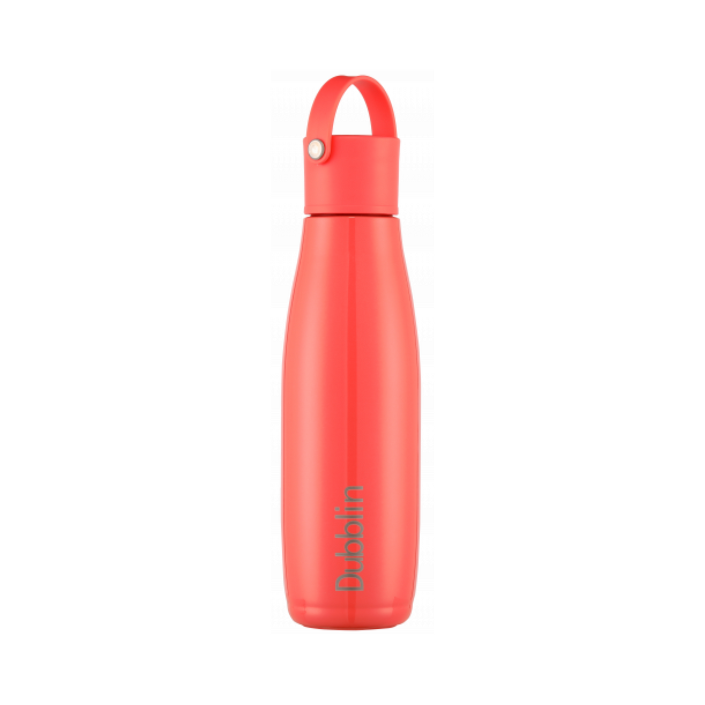 Dubblin Kiwi Stainless Steel Water Bottle | 750 ml |