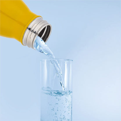 Dubblin Season Stainless Steel water Bottle | 500ml | Yellow |