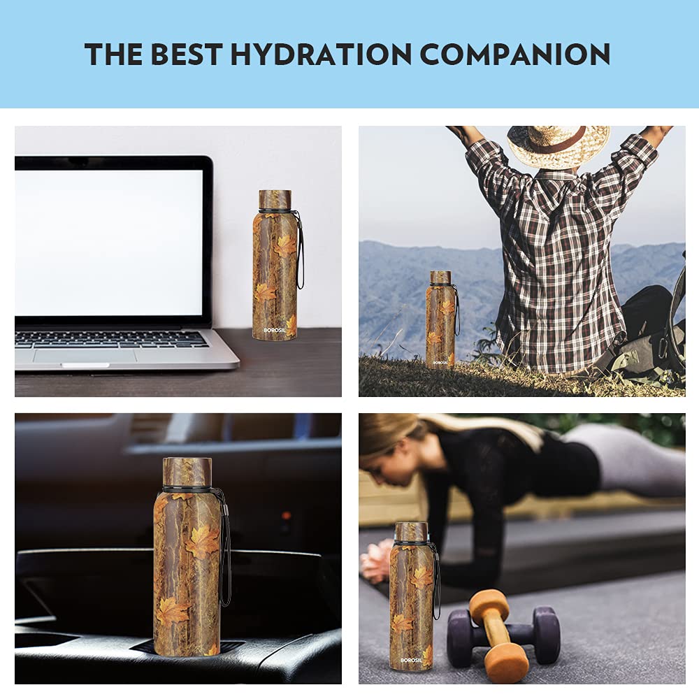 Borosil Hydra Trek Stainless Steel Water Bottle | 700ml | Mapple |