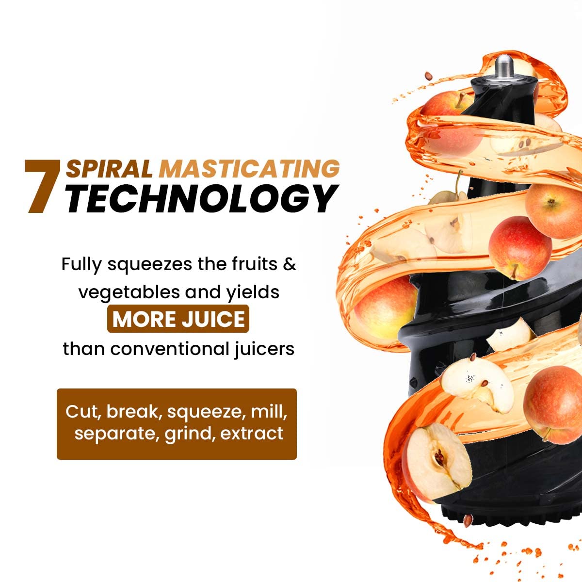 Agaro Royal All-in-1 Fruits & Vegetables Slow Juicer | 240W | Black |