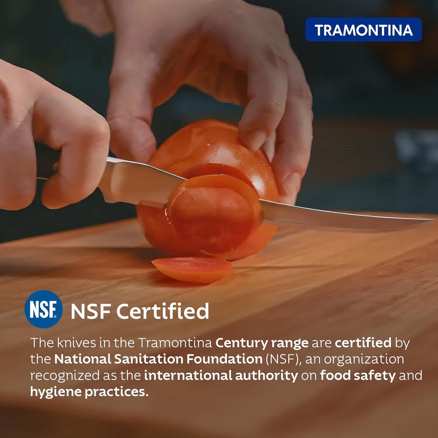 Tramontina Century Stainless Steel Tomato Knife | Polypropylene Handle Reinforced | 25 Years Warranty |