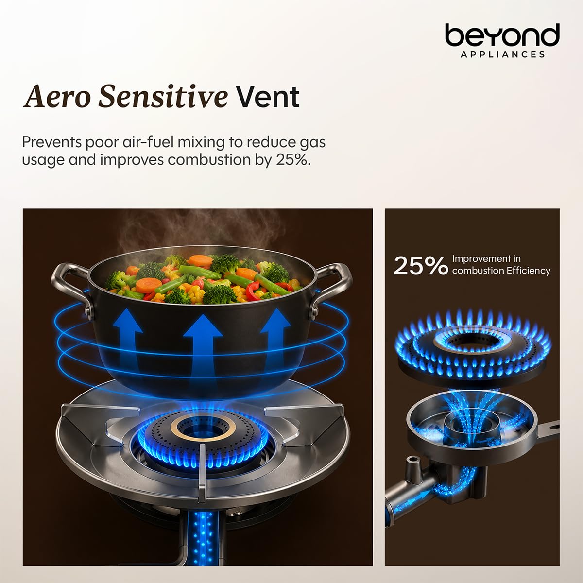 Beyond Appliances Quantum Manual Ignition Gas Saver Stove | 5-Star Energy Rated | LPG & PNG Compatible with 10-Year Warranty |