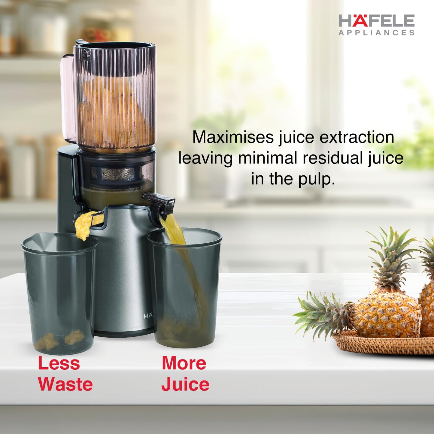 Hafele Magnus Prime Cold Press Juicer | Max Nutrition | 250W | Black |