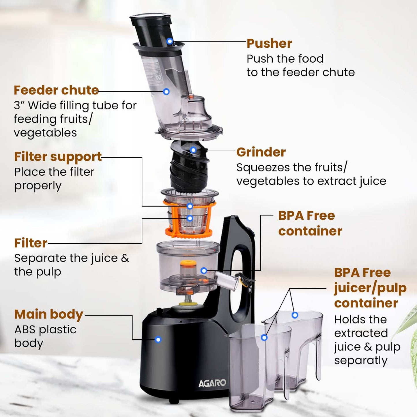 Agaro Royal All-in-1 Fruits & Vegetables Slow Juicer | 240W | Black |