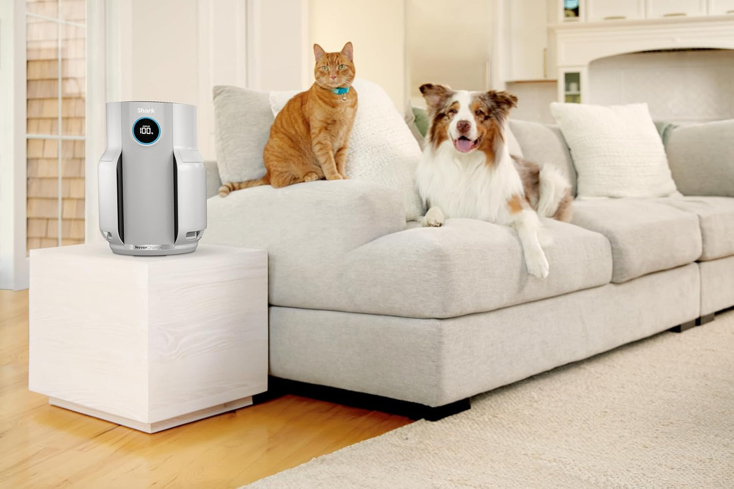 Shark Air Purifier for Home & Bedroom | Silent LED Display | White | 5 Years of Filter Life |