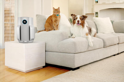 Shark Air Purifier for Home & Bedroom | Silent LED Display | White | 5 Years of Filter Life |