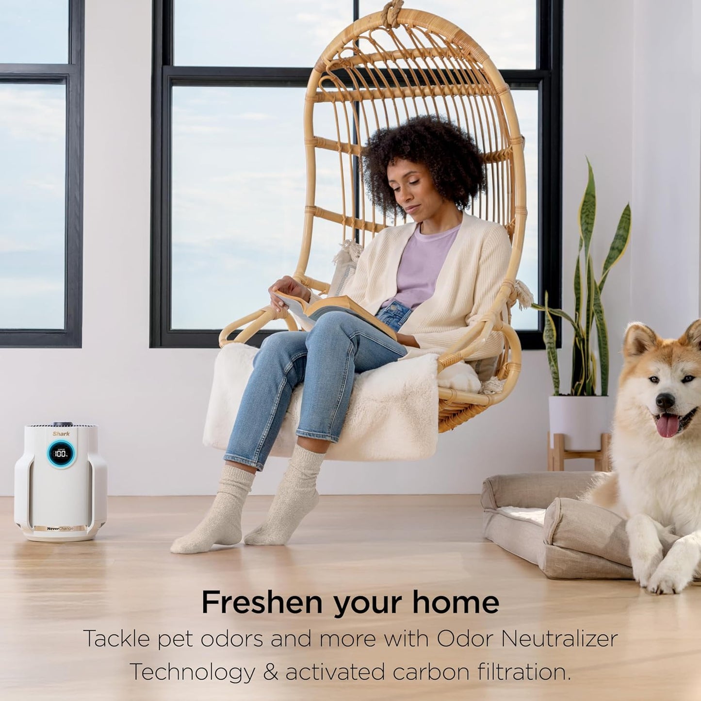 Shark Never Change Air Purifier | Long Lasting Performance | Dove |