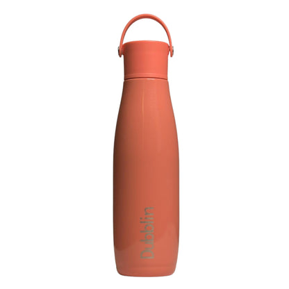Dubblin Kiwi Premium Stainless Steel Water Bottle | Leak Proof | BPA Free |