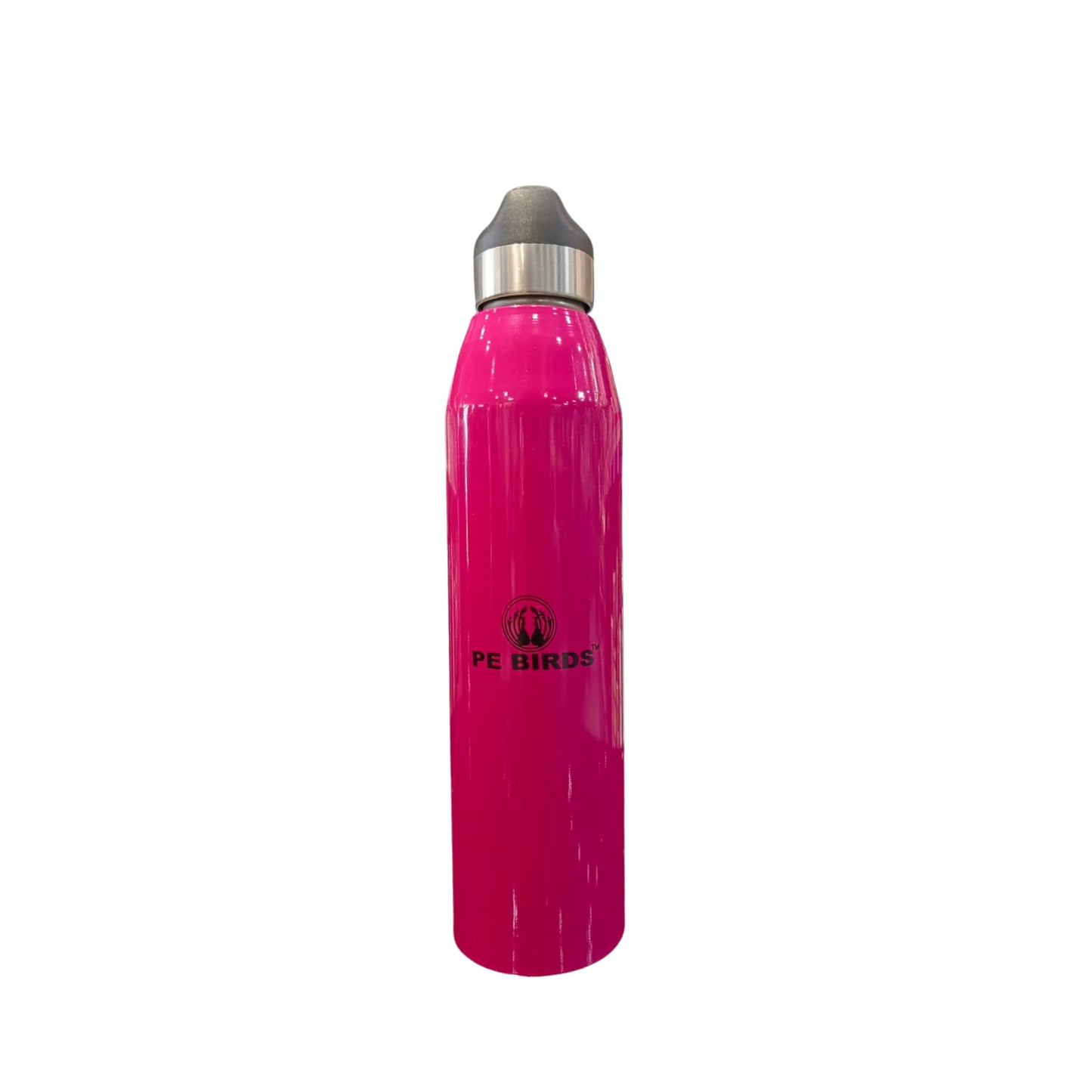 PE Birds Stainless Steel Peppy Water Bottle | 600 ml |