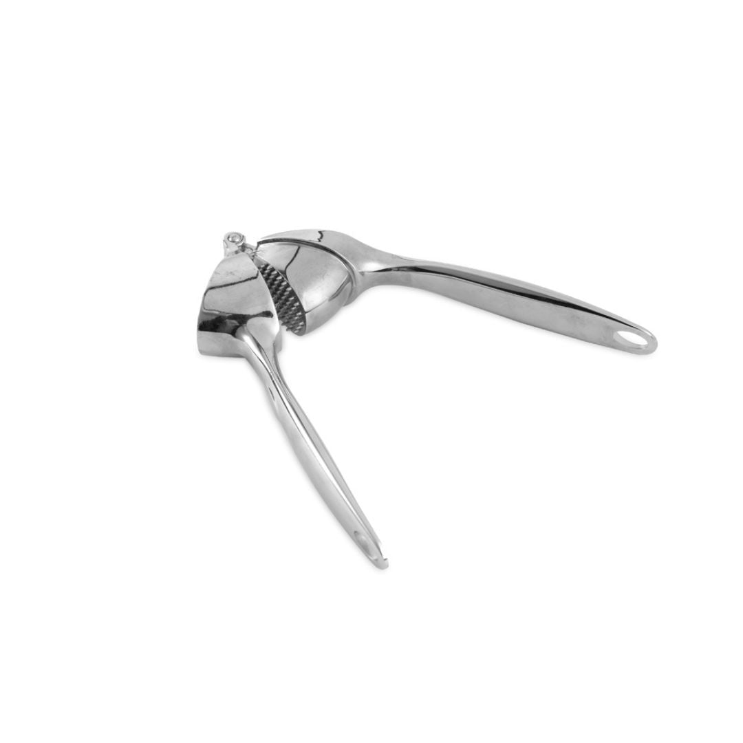 Stainless Steel Garlic Press