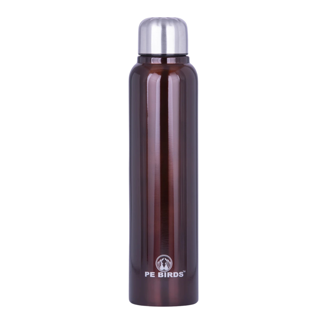 PE Birds Pony SS Water Bottle | 600ml |