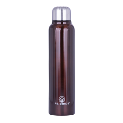 PE Birds Pony SS Water Bottle | 600ml |