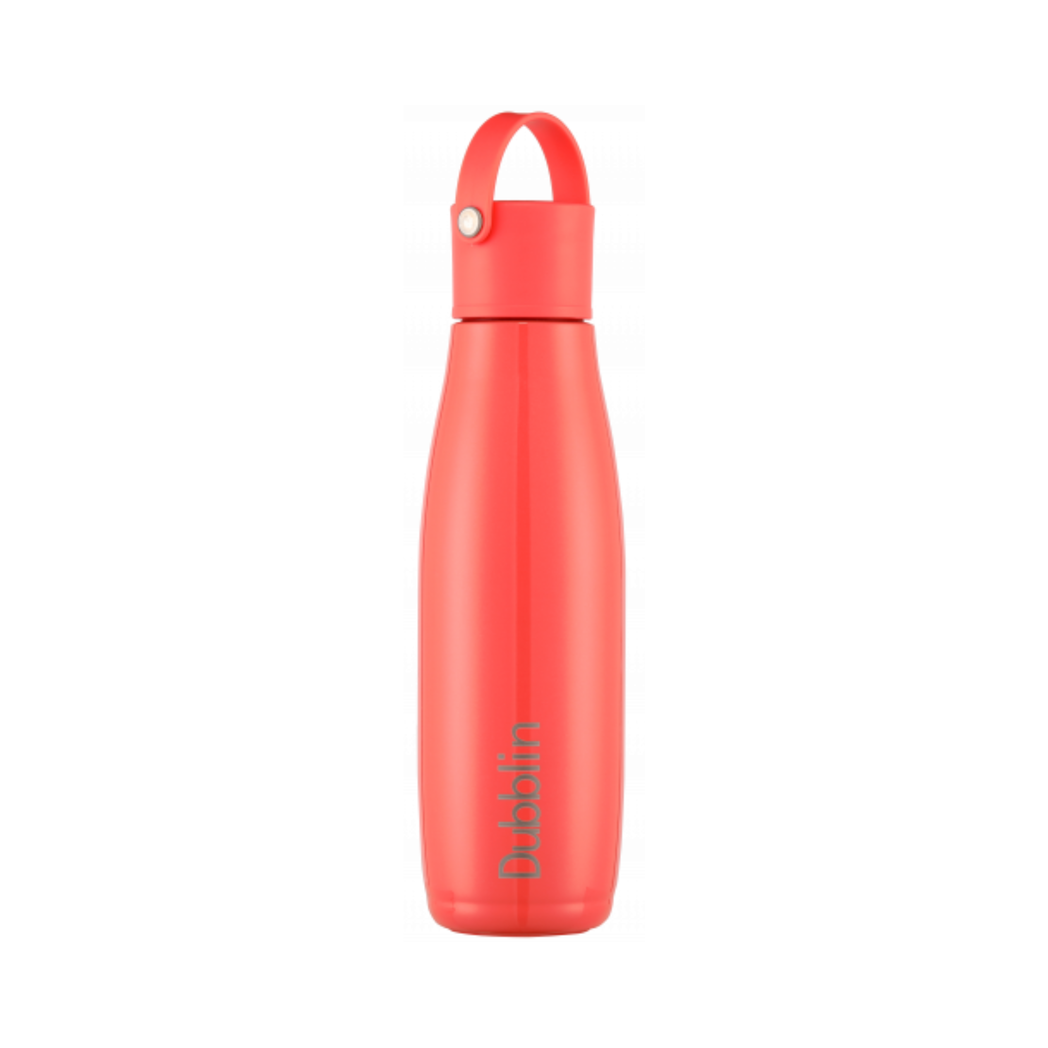 Dubblin Kiwi Water Bottle – Infinia Home and Kitchen