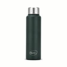 Pigeon Trivia Stainless Steel Vacuum Bottle | 500ml |