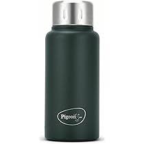 Pigeon Trivia Stainless Steel Vacuum Bottle  | 300ml |