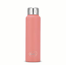 Pigeon Trivia Stainless Steel Vacuum Bottle | 500ml |