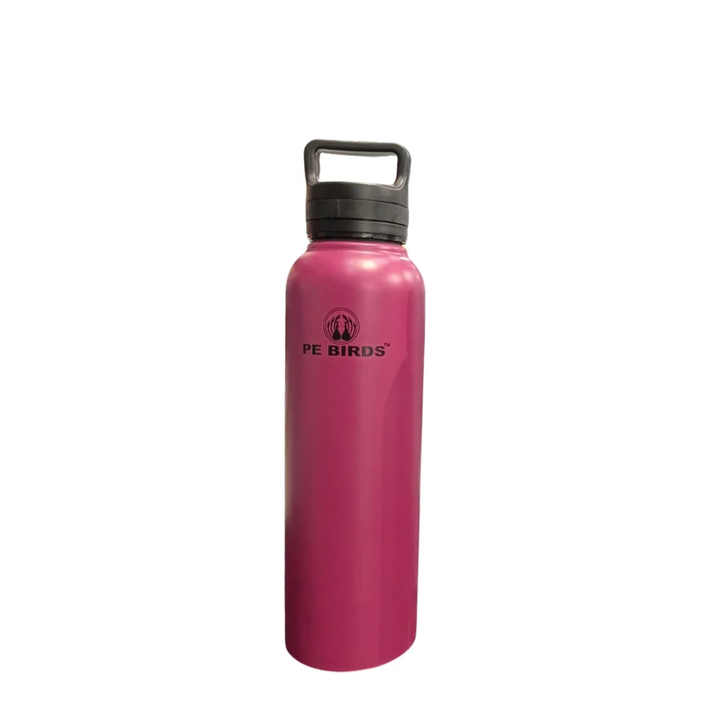 PE Birds Tuff O Steel Water Bottle | 750 ml | Leak Proof |