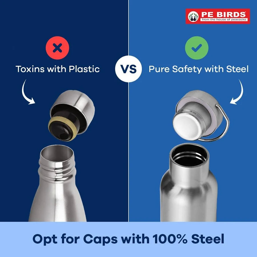 PE Birds Hydra Stainless Steel Insulated Flask  | 600ml | Purple |